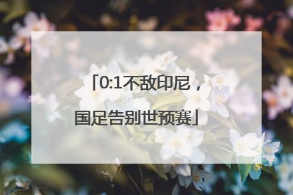 0:1不敌印尼，国足告别世预赛