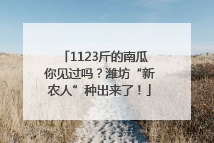 1123斤的南瓜你见过吗？潍坊“新农人”种出来了！