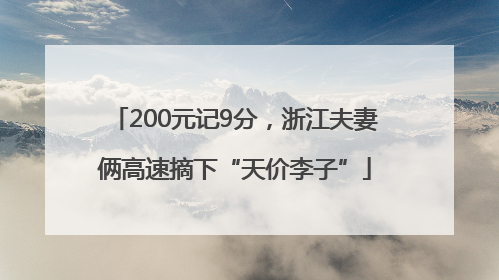200元记9分，浙江夫妻俩高速摘下“天价李子”
