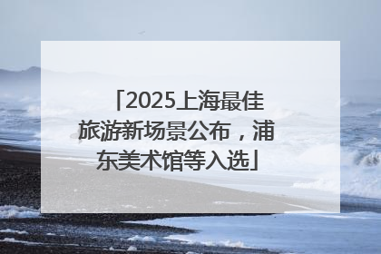 2025上海最佳旅游新场景公布，浦东美术馆等入选