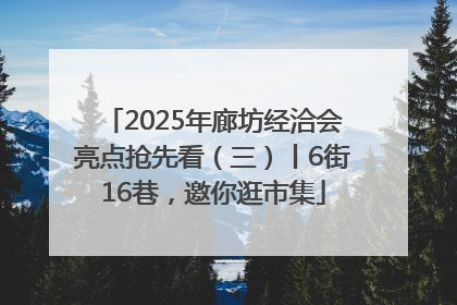 2025年廊坊经洽会亮点抢先看（三）丨6街16巷，邀你逛市集