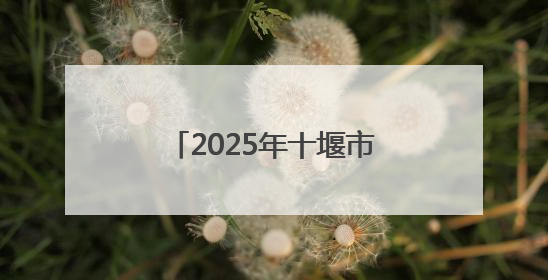 2025年十堰市事业单位引进高层次人才笔试成绩发布