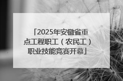2025年安徽省重点工程职工（农民工）职业技能竞赛开幕