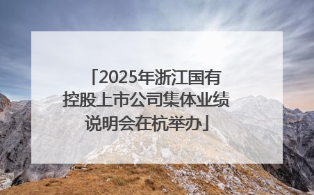 2025年浙江国有控股上市公司集体业绩说明会在杭举办