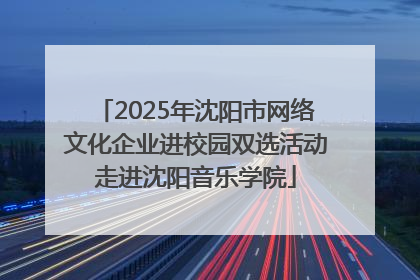 2025年沈阳市网络文化企业进校园双选活动走进沈阳音乐学院