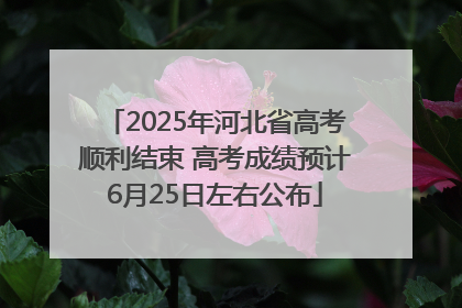 2025年河北省高考顺利结束 高考成绩预计6月25日左右公布