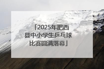 2025年肥西县中小学生乒乓球比赛圆满落幕