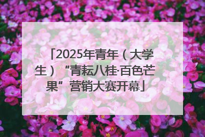 2025年青年（大学生）“青耘八桂·百色芒果”营销大赛开幕