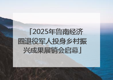 2025年鲁南经济圈退役军人投身乡村振兴成果展销会启幕
