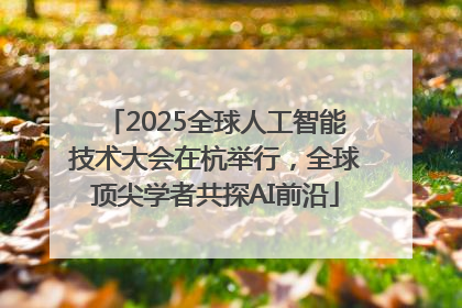 2025全球人工智能技术大会在杭举行，全球顶尖学者共探AI前沿