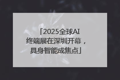 2025全球AI终端展在深圳开幕，具身智能成焦点