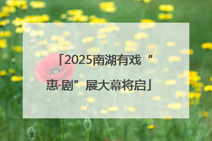 2025南湖有戏“惠·剧”展大幕将启