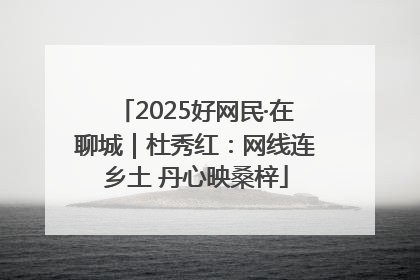 2025好网民·在聊城｜杜秀红：网线连乡土 丹心映桑梓