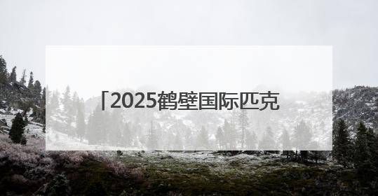 2025鹤壁国际匹克球邀请赛圆满落幕 300余名选手激情对决
