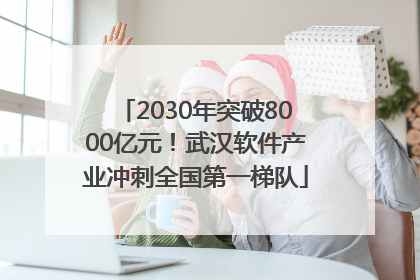 2030年突破8000亿元！武汉软件产业冲刺全国第一梯队
