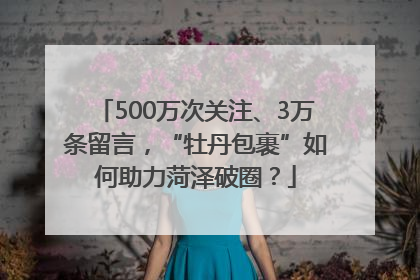 500万次关注、3万条留言，“牡丹包裹”如何助力菏泽破圈？