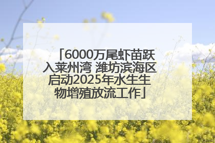 6000万尾虾苗跃入莱州湾 潍坊滨海区启动2025年水生生物增殖放流工作