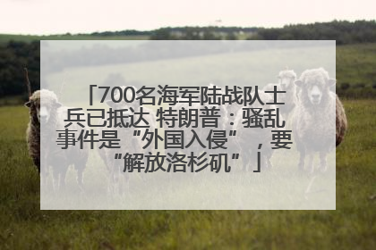 700名海军陆战队士兵已抵达 特朗普：骚乱事件是“外国入侵”，要“解放洛杉矶”