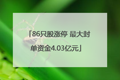 86只股涨停 最大封单资金4.03亿元