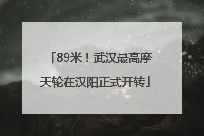 89米！武汉最高摩天轮在汉阳正式开转
