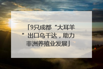 9只成都“大耳羊”出口乌干达，助力非洲养殖业发展