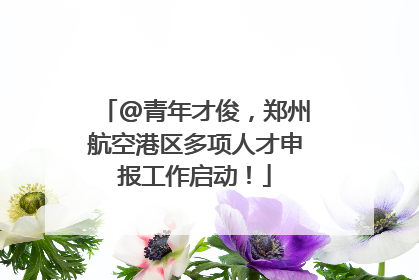 @青年才俊，郑州航空港区多项人才申报工作启动！