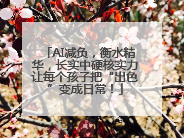 AI减负，衡水精华，长实中硬核实力让每个孩子把“出色”变成日常！
