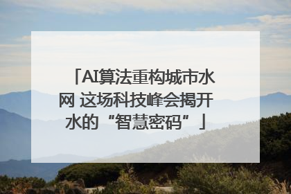 AI算法重构城市水网 这场科技峰会揭开水的“智慧密码”