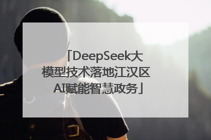 DeepSeek大模型技术落地江汉区 AI赋能智慧政务