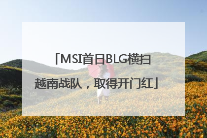 MSI首日BLG横扫越南战队，取得开门红