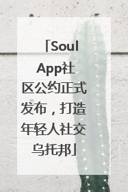 Soul App社区公约正式发布，打造年轻人社交乌托邦
