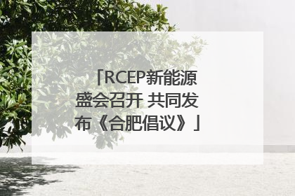 RCEP新能源盛会召开 共同发布《合肥倡议》