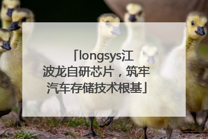 longsys江波龙自研芯片，筑牢汽车存储技术根基